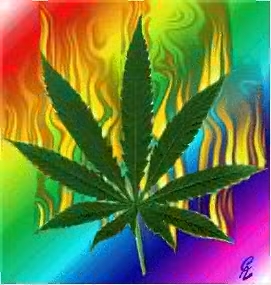 weed.jpg